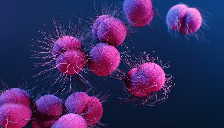 Molecular Pathology