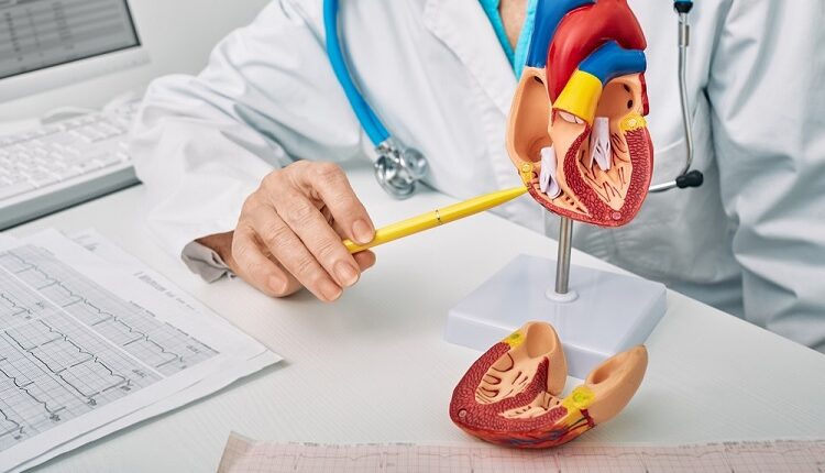 Cardiologist